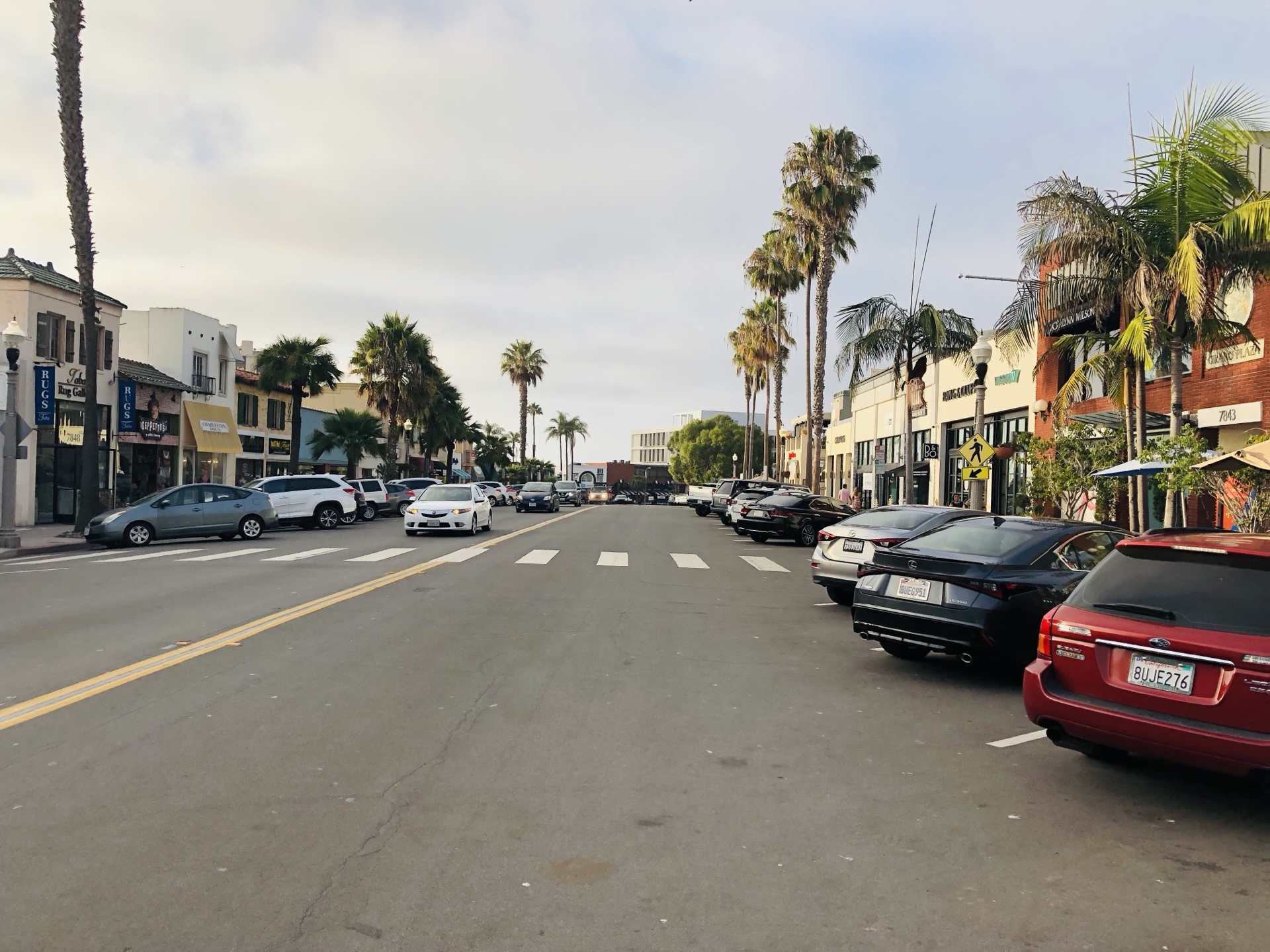 Palm-lined California streets at golden hour